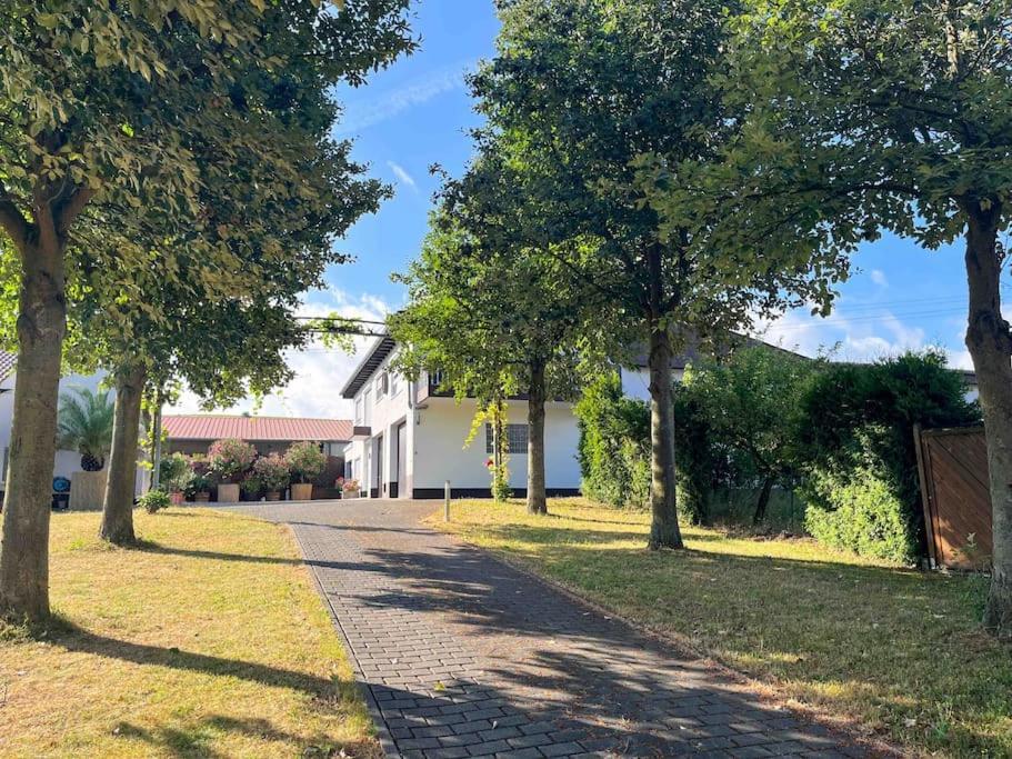 Apartment 100 Qm Im Weindorf - Balkon/Garage Aspisheim Dış mekan fotoğraf